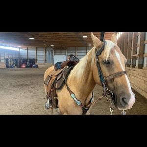 Meet your Posher, Mikayla